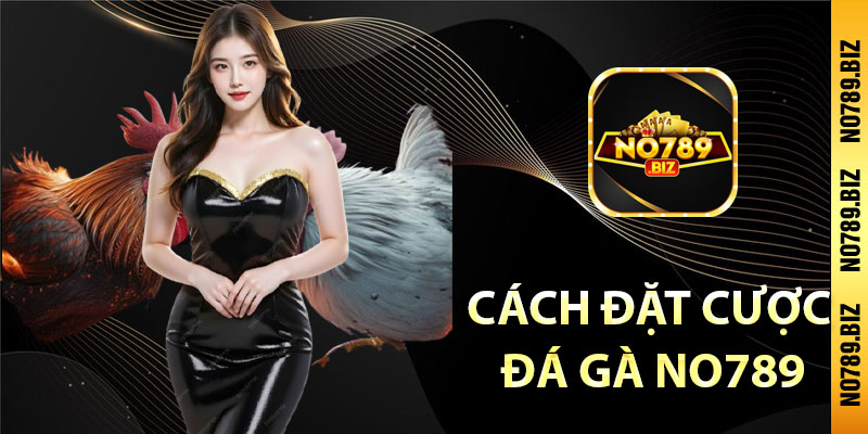 Cách đặt cược đá gà No789 dành được nhiều phần thưởng