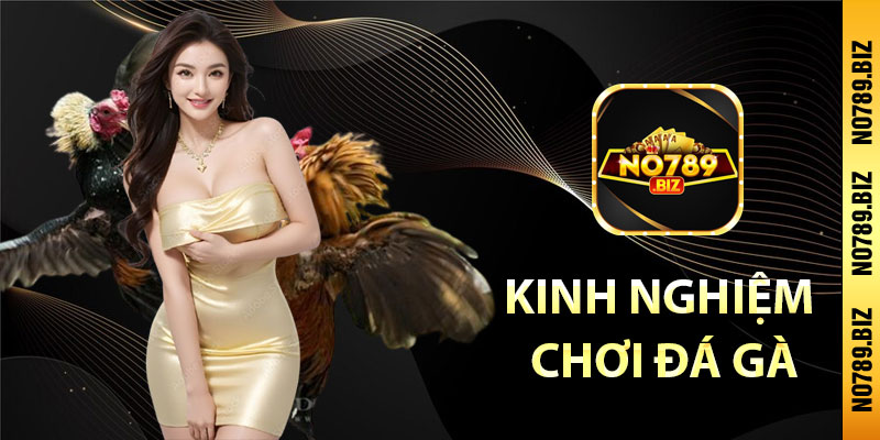 Kinh nghiệm chơi đá gà