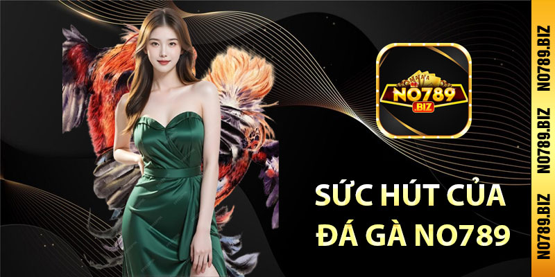 Sức hút của đá gà No789