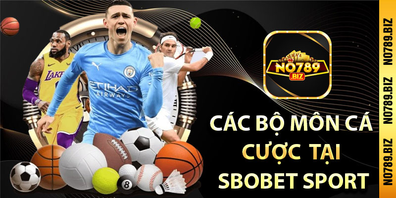 các bộ môn cá 
cược  tại 
SBOBET Sport