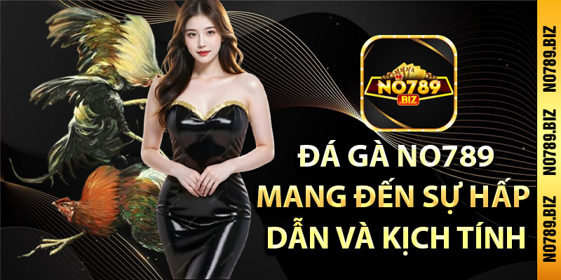 đá gà no789
mang đến sự hấp 
dẫn và kịch tính